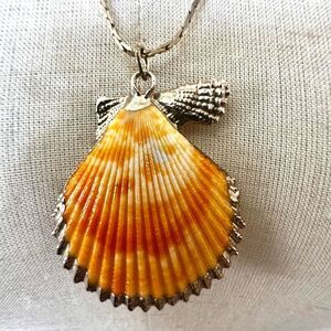 Gold Plated Sea Shell  Necklace